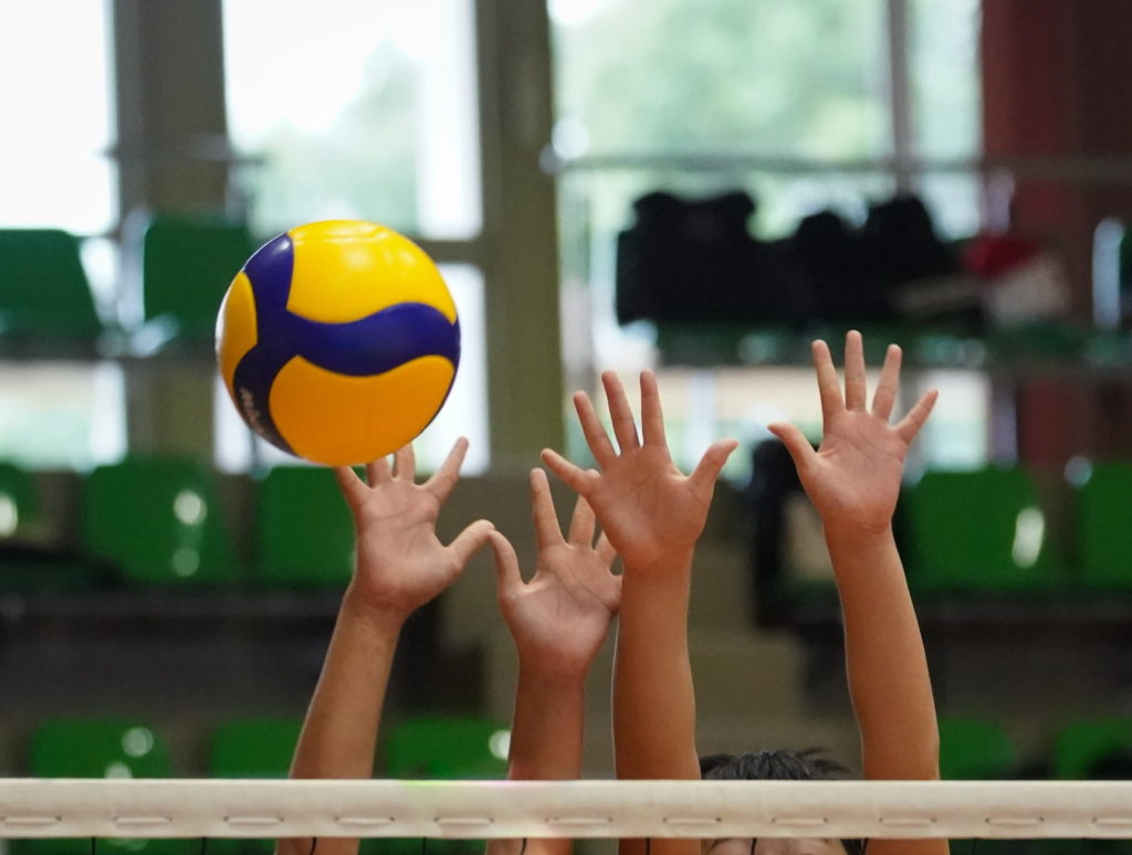 画像：京都府　Sさん