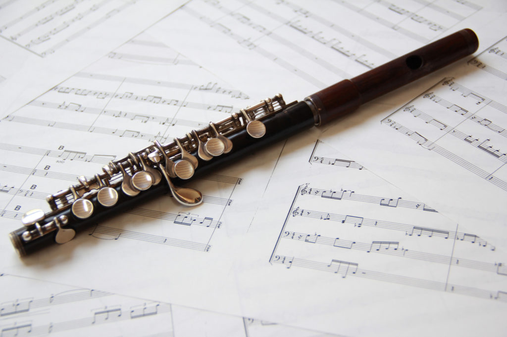 画像：愛媛県　Tさん